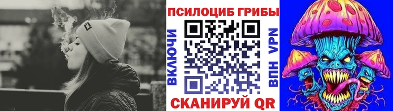 Псилоцибиновые грибы MAGIC MUSHROOMS  Купить где  Никольск 